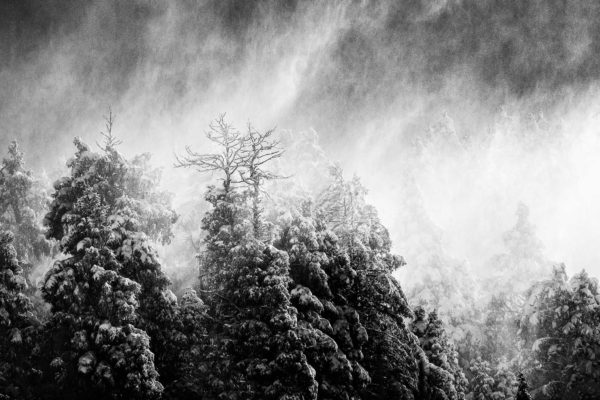 Absorption - Limited Edition Abstract Black and White Intimate Landscape Photograph by Alakesh Ghosh