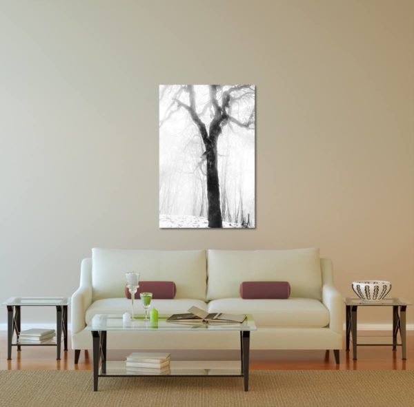 Wall Art Print Display─Inside a Room with a Couch─of the Photograph Frozen Forest Tree by Fine Art Nature and Landscape Photographer Minhajul Haque