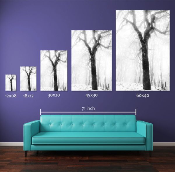 Comparing different print sizes of the photograph Frozen Forest Tree. The wall art prints are displayed above a standard 71-inch long couch. Smaller size 12x08-inch and 18x12-inch pigment prints are available for sale in open edition where the medium and large size prints i.e., 30x20-inch, 45x30-inch, and 60x40-inch pigment prints are available in numbered limited editions as described in the table below.