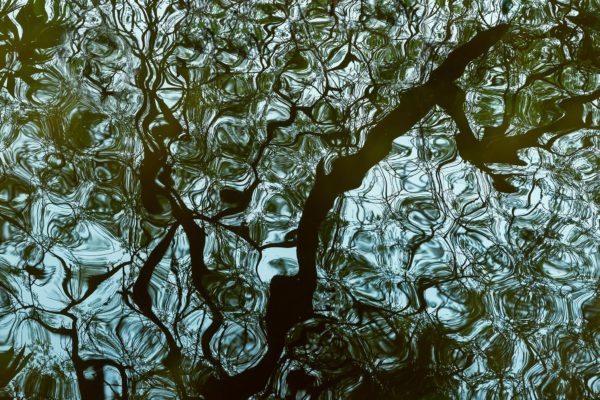 Water Pattern - Limited Edition Photography Artwork by Sahidul Haque